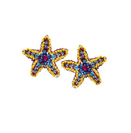 Brinco de Crochê Sea Star Eletric Warmth Mix